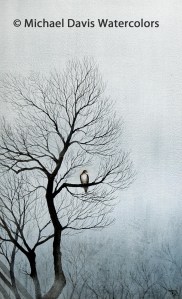 MDavis Fog on the Mountain reduced image copy