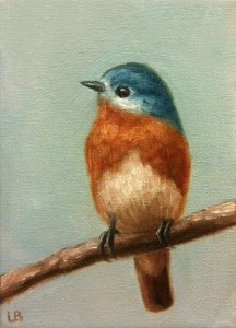 Little Bluebird
